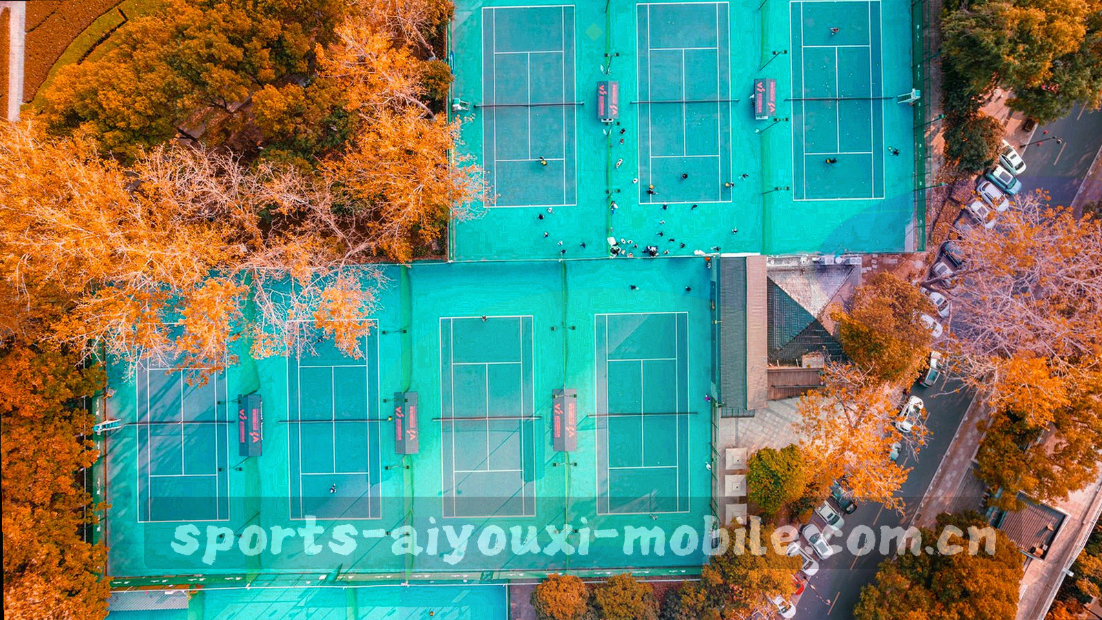 由数据脉冲线条与深色背景构成的抽象纹理图